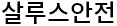 살루스안전 로고